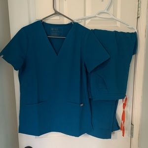Alps Blue Figs Scrubs